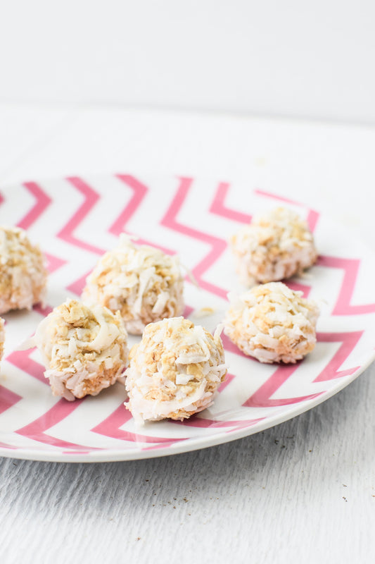 Easy Homemade Treats for Dogs: Coconut Oatmeal Bites - Coconut Whisk